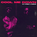 DJ Tunez – Cool Me Down ft. Wizkid